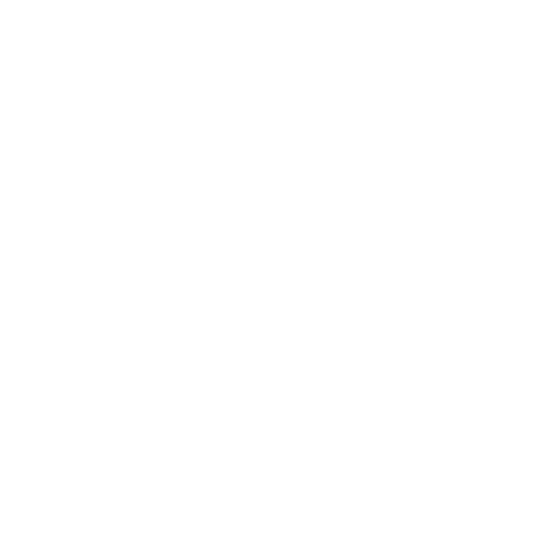 circle-border-1-1